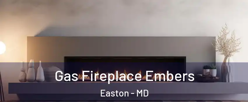  Gas Fireplace Embers Easton - MD